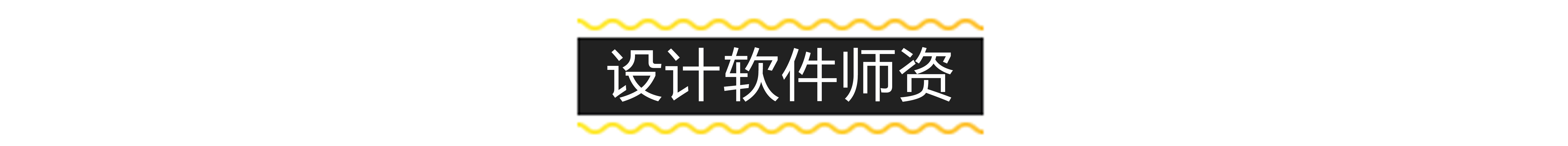 设计软件师资.jpg