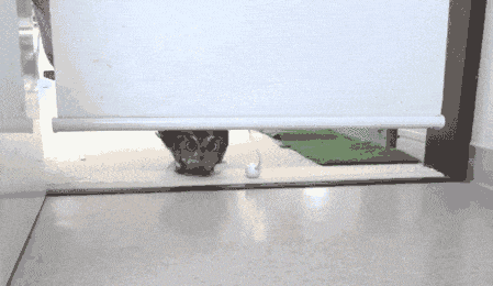 微信图片_20200924115033.gif
