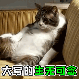 微信图片_20200924115220.gif