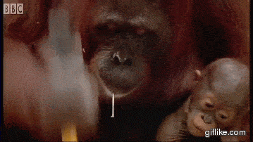 微信图片_20200924115215.gif